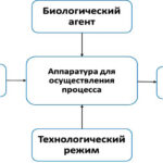 4. Иллюстрация 1