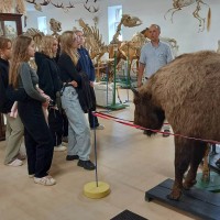 Любопытство и тяга к знаниям привели в музей