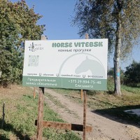 Посещение Конного клуба «Horse Vitebsk»  (ознакомительная практика)