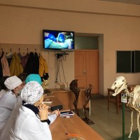 Практическая подготовка студентов на кафедре общей, частной и оперативной хирургии