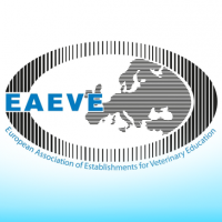 Состоялся визит Европейской ассоциации учреждений по ветеринарному образованию в УО ВГАВМ