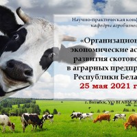 Проведение кафедральной научно-практической конференции «Организационно-экономические аспекты развития скотоводства  в аграрных предприятиях Республики Беларусь»