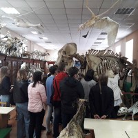 Экскурсионная программа для учащихся Лицея г. Новополоцка