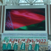 Белагро-2022 встречает гостей