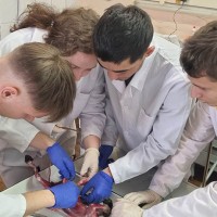 Члены СНК «ЭВРИКА» проводят анатомо-гистологические исследования